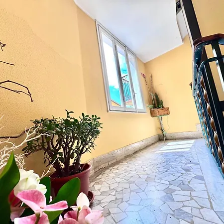 Kibilu - Family Space In Bright & Large * فاريسّي